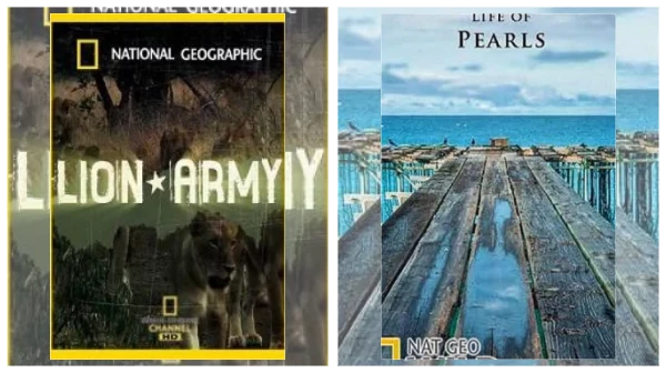 Постер: Фильмы National Geographic скачать через торрент файл