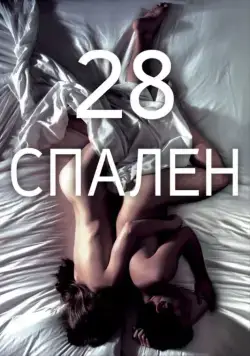 Постер: 28 спален / 28 Hotel Rooms (2012)