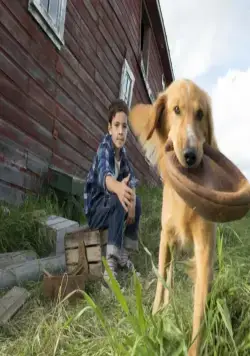 Кадр из Собачья жизнь (2017) Кадр 1 из фильма Собачья жизнь / A Dog's Purpose (2017)