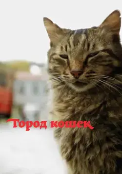 Постер: Город кошек / Kedi (2016)