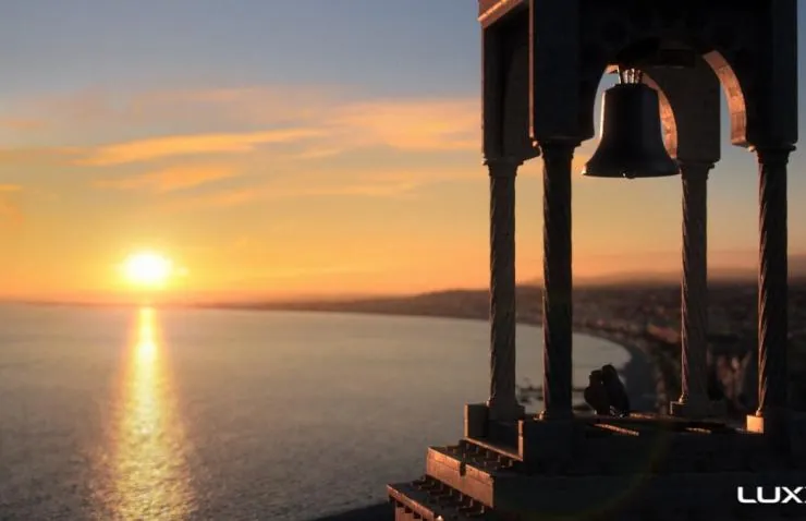Кадр из Птичий дозор (2019) Кадр 1 из мультфильма Птичий дозор / Manou the Swift (2019)