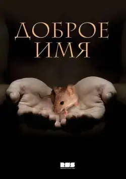 Постер: Доброе имя (2014)