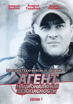 Постер: Агент национальной безопасности (1999)