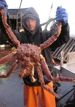 Кадр из Смертельный улов (2005) Кадр 1 из тв-шоу Смертельный улов / Deadliest Catch (2005)