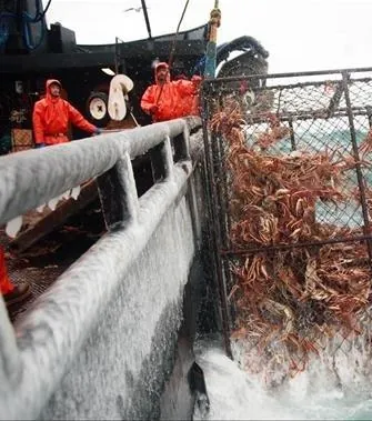 Кадр из Смертельный улов (2005) Кадр 2 из тв-шоу Смертельный улов / Deadliest Catch (2005)
