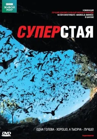 Постер: BBC: Суперстая / SuperSwarm: Nature's Incredible Invasions (2009)