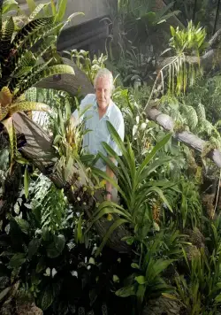 Кадр из В королевстве растений (2012) Кадр 1 из сериала В королевстве растений / Kingdom of Plants 3D (2012)