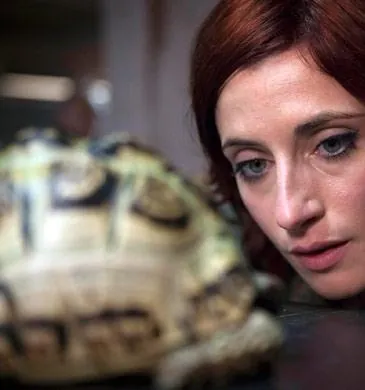 Кадр из Отбросы (2009) Кадр 1 из сериала Отбросы / Misfits (2009)