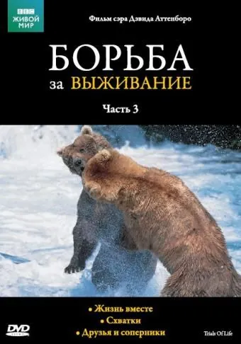 Постер: BBC: Борьба за выживание / The Trials of Life (1990)