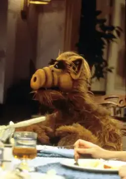 Кадр из Альф (1986) Кадр 3 из сериала Альф / ALF (1986)