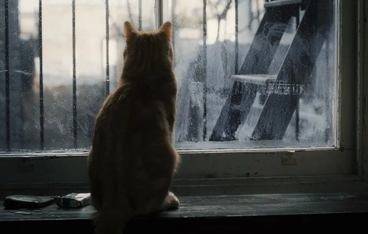 Кадр из Внутри Льюина Дэвиса (2012) Кадр 2 из фильма Внутри Льюина Дэвиса / Inside Llewyn Davis (2012)