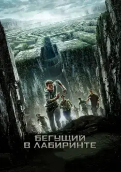 Постер: Бегущий в лабиринте / The Maze Runner (2014)
