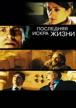 Постер: Последняя искра жизни / La chispa de la vida (2011)