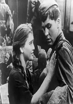 Кадр из Баллада о солдате (1959) Кадр 2 из фильма Баллада о солдате (1959)