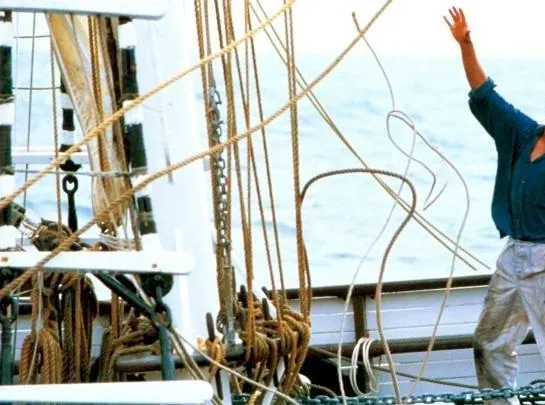Кадр из Мёртвый штиль (1988) Кадр 3 из фильма Мёртвый штиль / Dead Calm (1988)