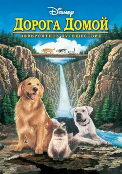 Постер: Дорога домой: Невероятное путешествие / Homeward Bound: The Incredible Journey (1993)