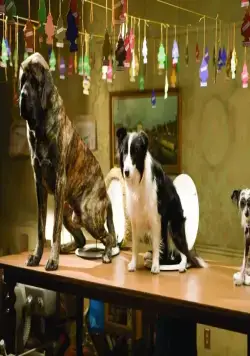 Кадр из Отель для собак (2008) Кадр 1 из фильма Отель для собак / Hotel for Dogs (2008)
