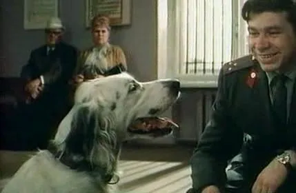 Кадр из Белый Бим Черное ухо (1976) Кадр 3 из сериала Белый Бим Черное ухо (1976)