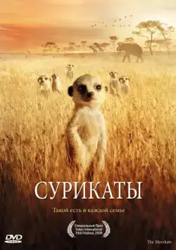 Постер: Сурикаты / The Meerkats (2007)