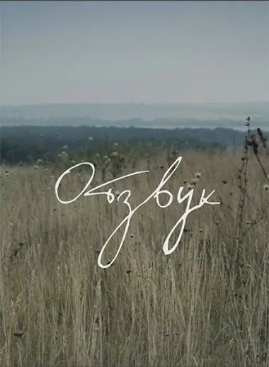 Постер: Отзвук (2015)