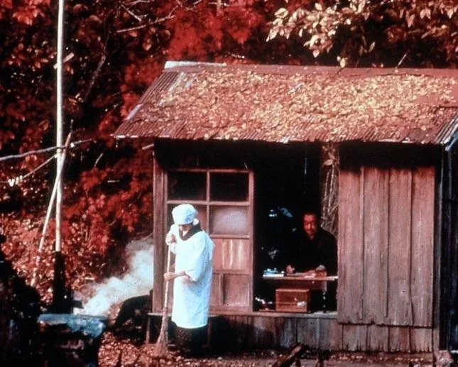 Кадр из Еще нет (1993) Кадр 2 из фильма Еще нет / Maadadayo (1993)