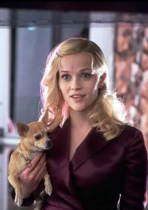 Кадр из Блондинка в законе 2 (2003) Кадр 1 из фильма Блондинка в законе 2 / Legally Blonde 2 - Red, White & Blonde (2003)