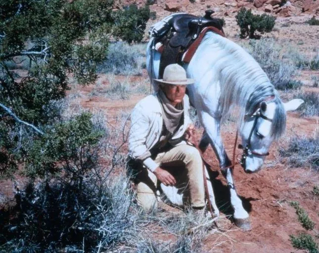 Кадр из Счастливчик Люк (1991) Кадр 1 из фильма Счастливчик Люк / Lucky Luke (1991)