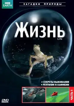 Постер: BBC: Жизнь / Life (UK) (2009)