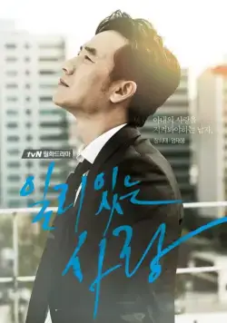Постер: Правильная любовь / Ilriitneun sarang (2014)