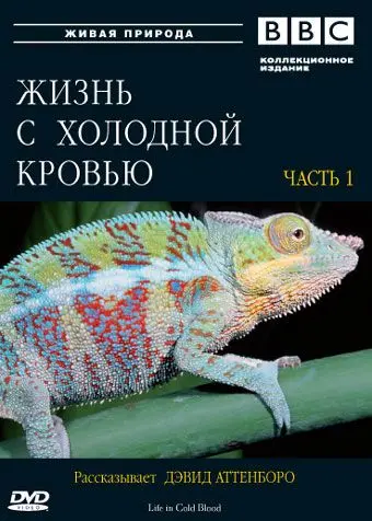 Постер: BBC: Жизнь с холодной кровью / Life in Cold Blood (2008)