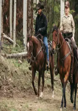Кадр из Йеллоустоун (2018) Кадр 1 из сериала Йеллоустоун / Yellowstone (2018)