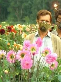 Кадр из Кин-дза-дза (1986) Кадр 1 из фильма Кин-дза-дза / Kin-Dza-Dza (1986)