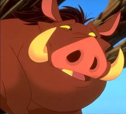 Кадр из Тимон и Пумба (1995) Кадр 1 из сериала Тимон и Пумба / Timon & Pumbaa (1995)