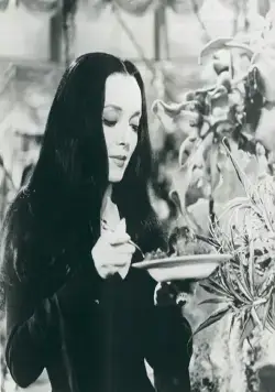 Кадр из Семейка Аддамс (1964) Кадр 2 из сериала Семейка Аддамс / The Addams Family (1964)