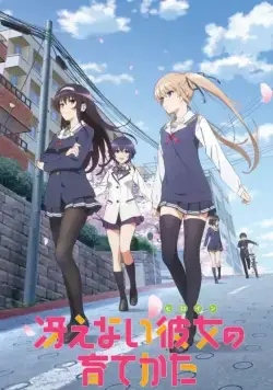 Постер: Как создать из обычной девушки героиню / Saenai hiroin no sodatekata (2015)