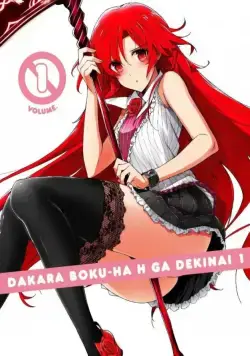 Постер: Говорю же, у меня не встаёт! / Dakara Boku wa, H ga Dekinai (2012)