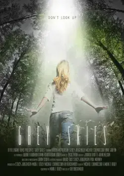 Постер: Серые небеса / Grey Skies (2010)