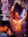 Постер: Кому-то там наверху я нравлюсь / Lang man feng bao (1996)