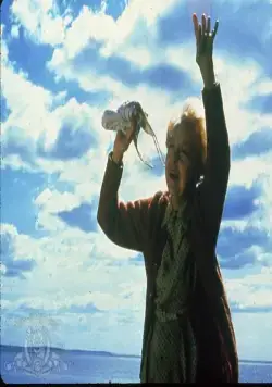 Кадр из Августовские киты (1987) Кадр 3 из фильма Августовские киты / The Whales of August (1987)
