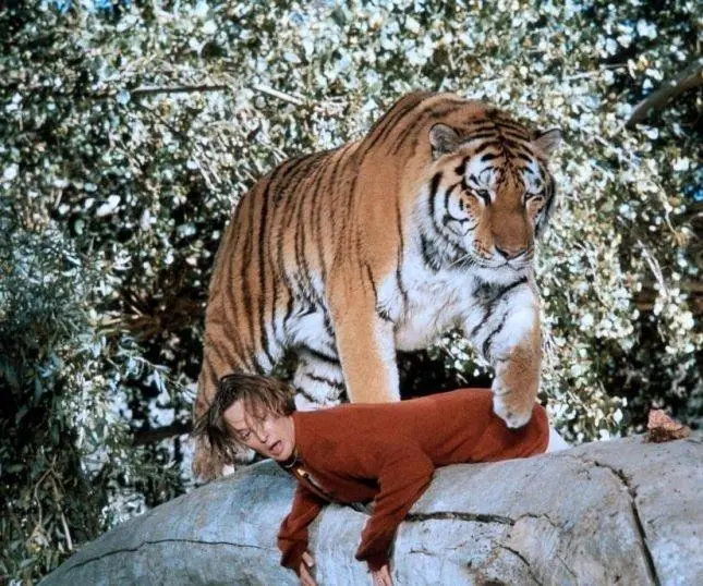 Кадр из Рев (1981) Кадр 2 из фильма Рев / Roar (1981)