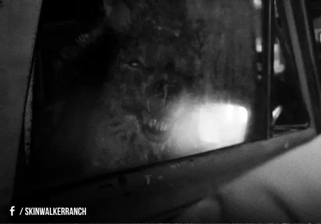 Кадр из Ранчо «Скинуокер» (2012) Кадр 2 из фильма Ранчо «Скинуокер» / Skinwalker Ranch (2012)