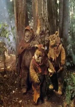 Кадр из Приключения эвоков (1984) Кадр 1 из фильма Приключения эвоков / The Ewok Adventure (1984)
