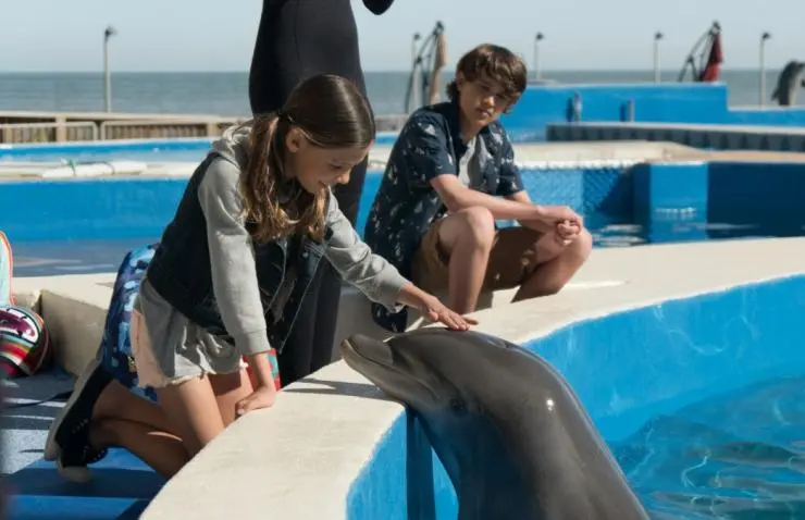 Кадр из Дельфин Берни (2018) Кадр 3 из фильма Дельфин Берни / Bernie the Dolphin (2018)