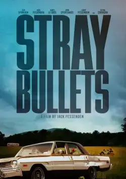 Постер: Шальные пули / Stray Bullets (2016)