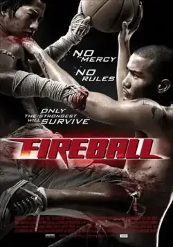 Постер: Файрбол / Fireball (2009)