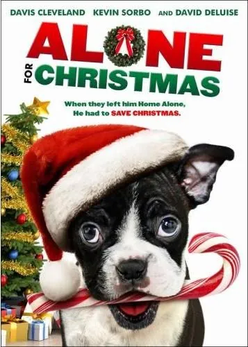 Постер: Одни на Рождество / Alone for Christmas (2013)