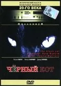 Постер: Черный кот / Black Cat (1981)