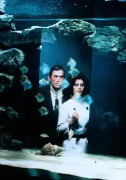 Кадр из Арабеска (1966) Кадр 1 из фильма Арабеска / Arabesque (1966)