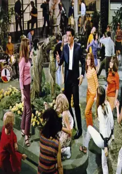 Кадр из Выходные в Калифорнии (1966) Кадр 1 из фильма Выходные в Калифорнии / Spinout (1966)