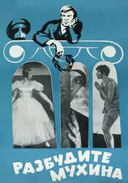 Постер: Разбудите Мухина! (1968)